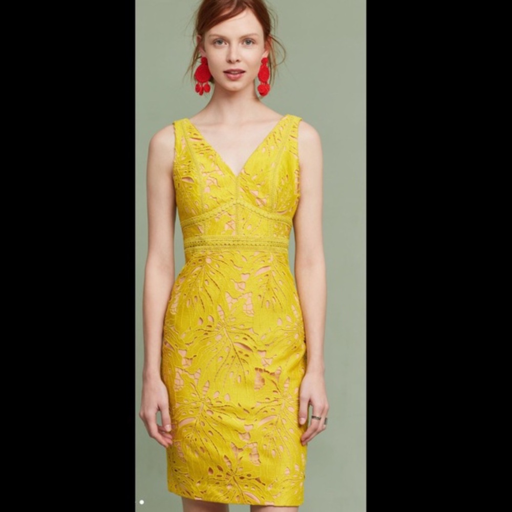 ANTHRO MAEVE Gardenia Lace Column Sheath Dress 4 - Picture 1 of 9